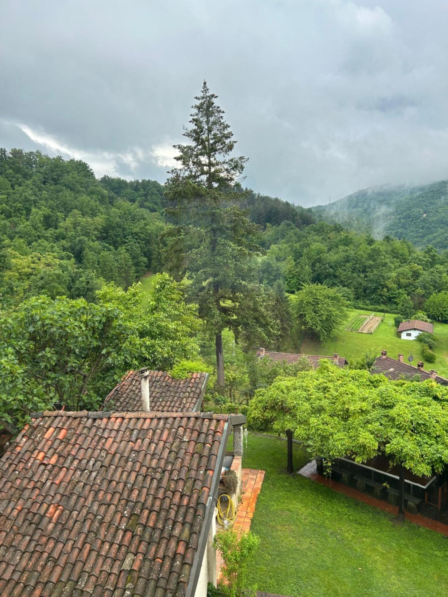 Cascina Ciosse B&B Grognardo Exterior photo